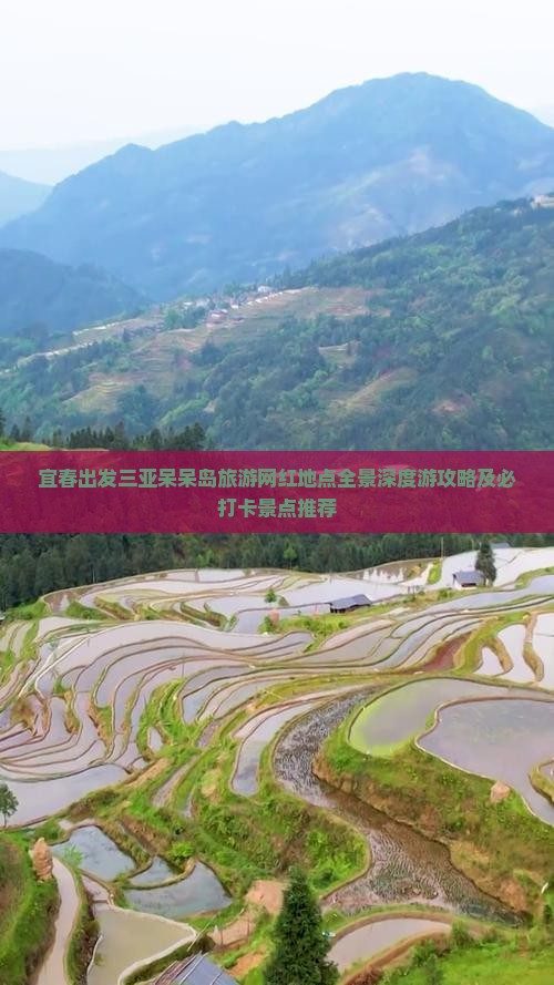 宜春出发三亚呆呆岛旅游网红地点全景深度游攻略及必打卡景点推荐