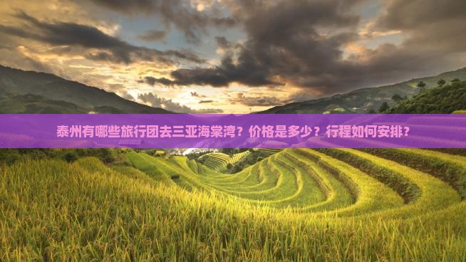 泰州有哪些旅行团去三亚海棠湾？价格是多少？行程如何安排？