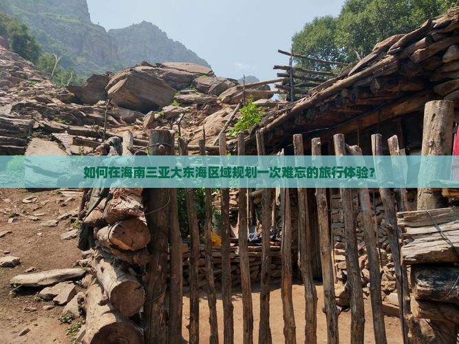 如何在海南三亚大东海区域规划一次难忘的旅行体验？