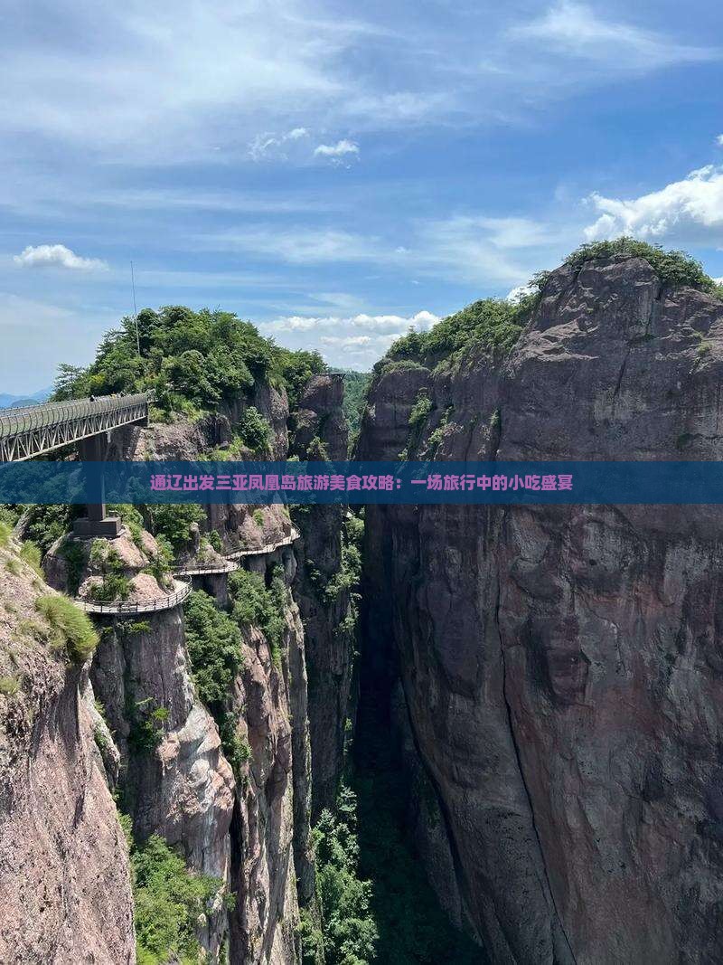 通辽出发三亚凤凰岛旅游美食攻略：一场旅行中的小吃盛宴