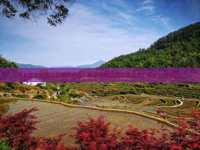 从北京怎么去三亚椰子洲岛？椰子洲岛是网红景点吗？有什么好玩的？