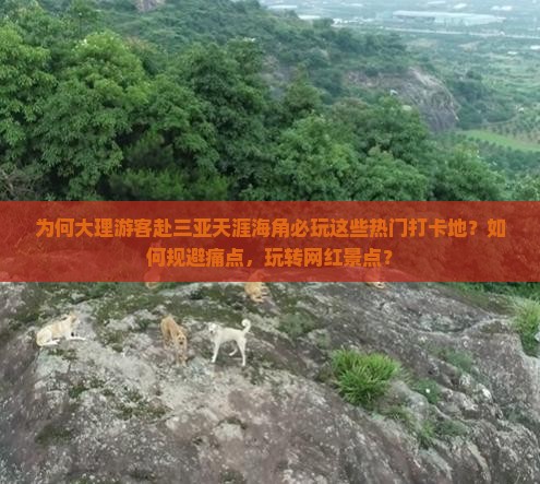 为何大理游客赴三亚天涯海角必玩这些热门打卡地？如何规避痛点，玩转网红景点？