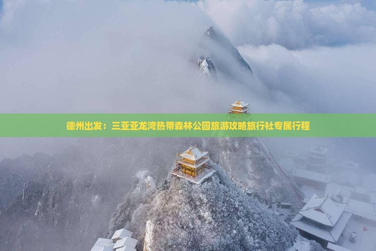 德州出发：三亚亚龙湾热带森林公园旅游攻略旅行社专属行程