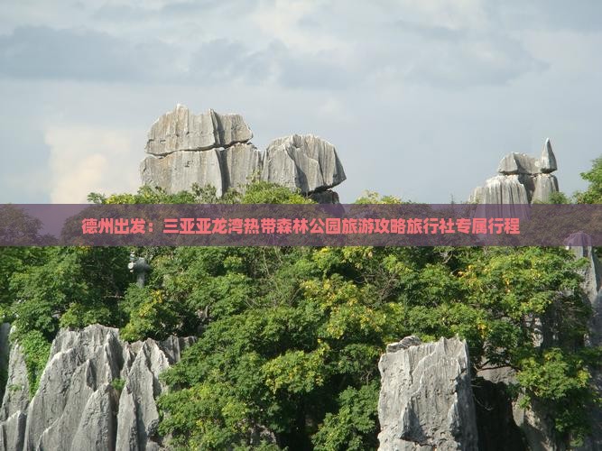 德州出发：三亚亚龙湾热带森林公园旅游攻略旅行社专属行程
