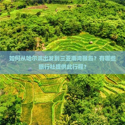 如何从哈尔滨出发到三亚南湾猴岛？有哪些旅行社提供此行程？
