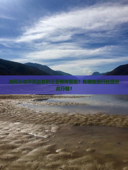 如何从哈尔滨出发到三亚南湾猴岛？有哪些旅行社提供此行程？