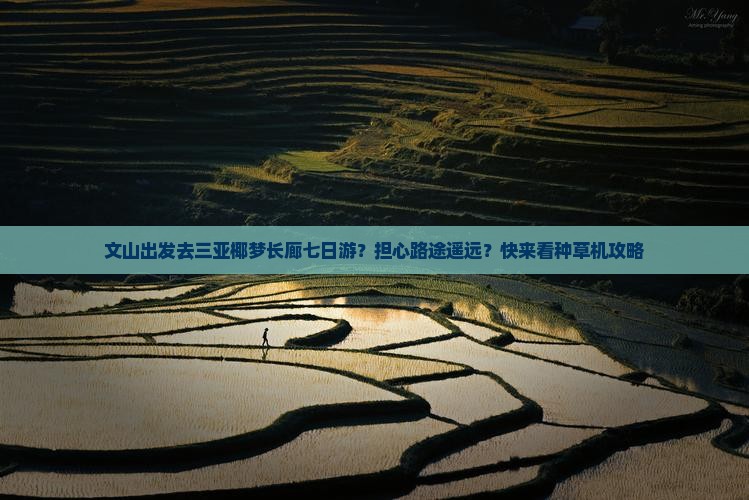 文山出发去三亚椰梦长廊七日游？担心路途遥远？快来看种草机攻略