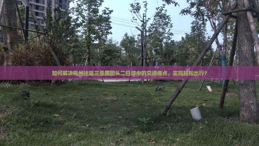 如何解决梅州往返三亚鹿回头二日游中的交通痛点，实现轻松出行？