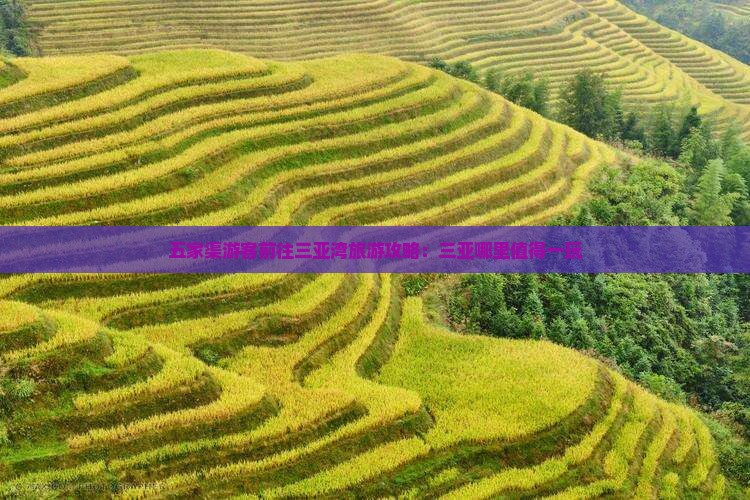 五家渠游客前往三亚湾旅游攻略：三亚哪里值得一玩
