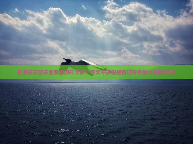 抚顺去三亚三亚湾旅游打卡点？冬天不去怕是错过今冬最火的网红地！