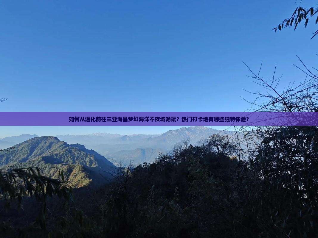 如何从通化前往三亚海昌梦幻海洋不夜城畅玩？热门打卡地有哪些独特体验？
