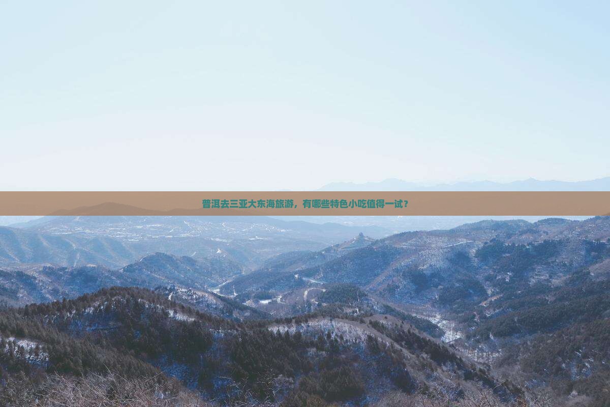 普洱去三亚大东海旅游，有哪些特色小吃值得一试？