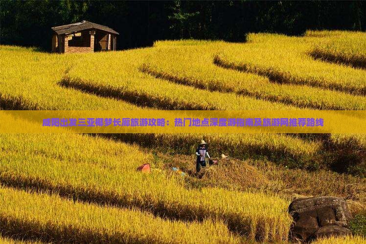 咸阳出发三亚椰梦长廊旅游攻略：热门地点深度游指南及旅游网推荐路线