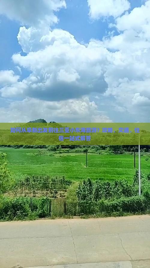 如何从阜新出发前往三亚小东海旅游？攻略、交通、住宿一站式解答