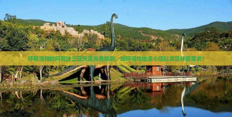 呼和浩特如何前往三亚天涯海角旅游，如何寻找地道小吃以满足味蕾需求？