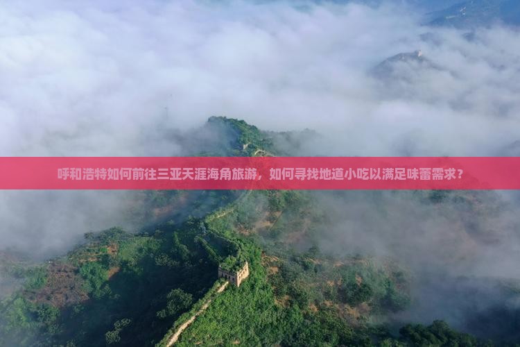 呼和浩特如何前往三亚天涯海角旅游，如何寻找地道小吃以满足味蕾需求？