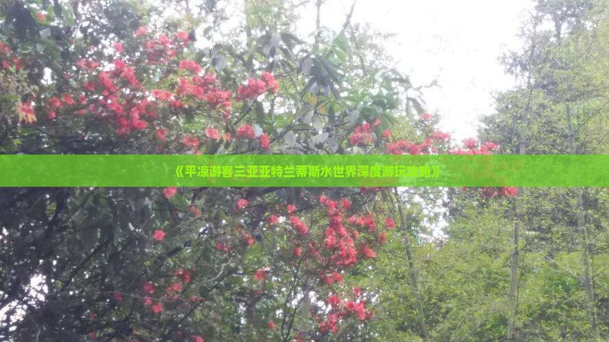 《平凉游客三亚亚特兰蒂斯水世界深度游玩攻略》