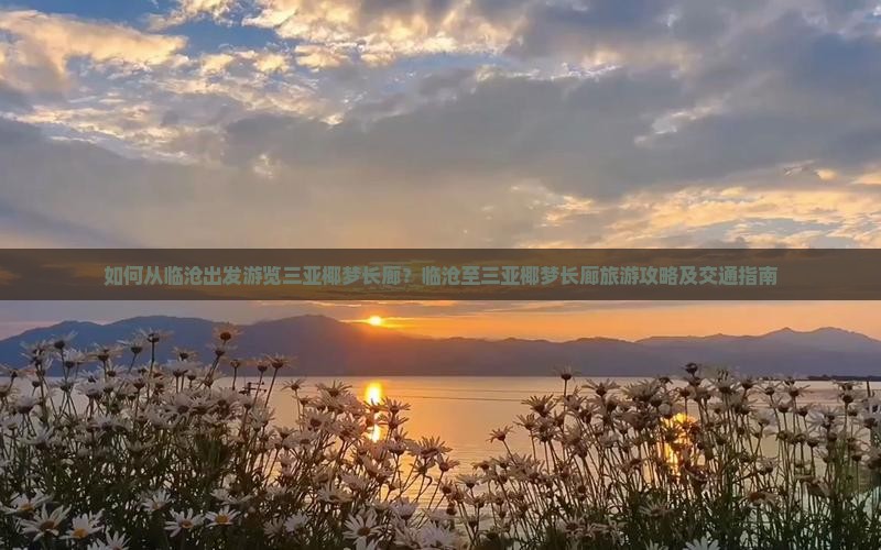 如何从临沧出发游览三亚椰梦长廊？临沧至三亚椰梦长廊旅游攻略及交通指南