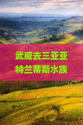 武威去三亚亚特兰蒂斯水族馆旅游小吃？亚特兰蒂斯酒店+免税购物+网红打卡地，攻略来了