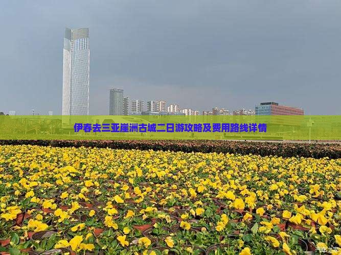 伊春去三亚崖洲古城二日游攻略及费用路线详情