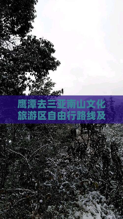 鹰潭去三亚南山文化旅游区自由行路线及费用