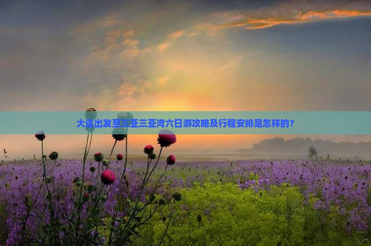 大连出发至三亚三亚湾六日游攻略及行程安排是怎样的？