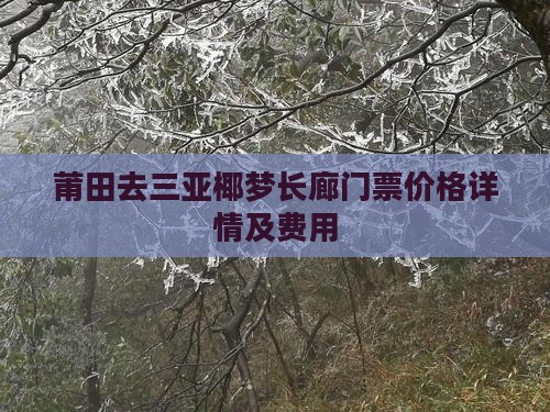 莆田去三亚椰梦长廊门票价格详情及费用