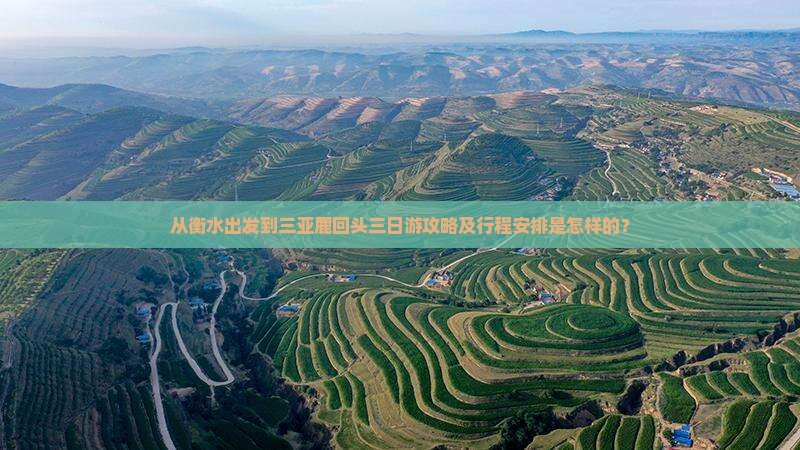 从衡水出发到三亚鹿回头三日游攻略及行程安排是怎样的？