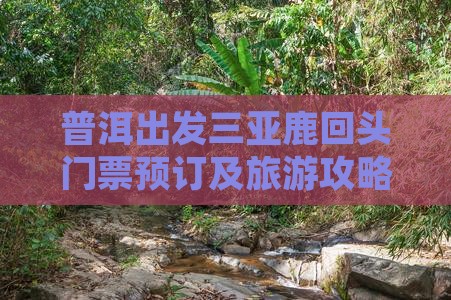 普洱出发三亚鹿回头门票预订及旅游攻略大全