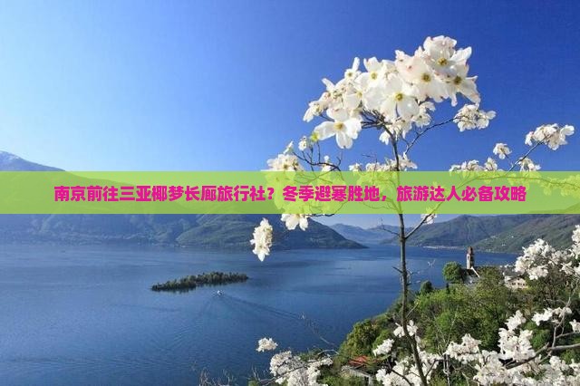 南京前往三亚椰梦长廊旅行社？冬季避寒胜地，旅游达人必备攻略