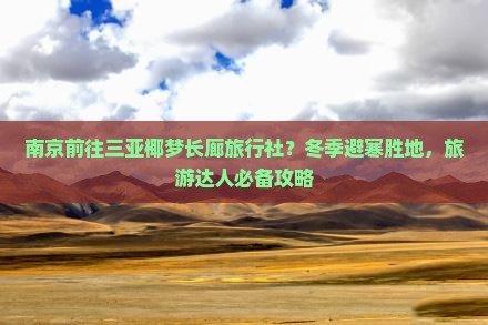 南京前往三亚椰梦长廊旅行社？冬季避寒胜地，旅游达人必备攻略