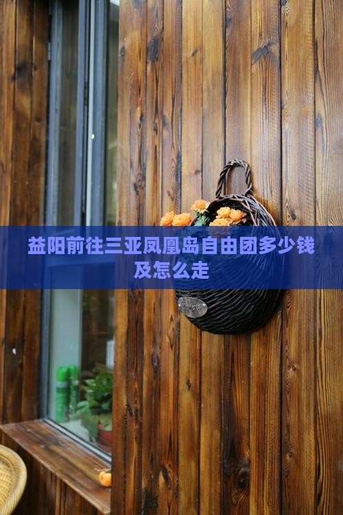 益阳前往三亚凤凰岛自由团