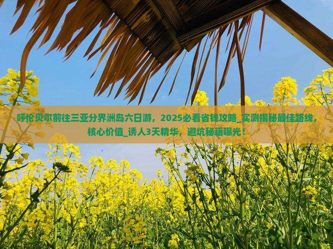 呼伦贝尔前往三亚分界洲岛六日游