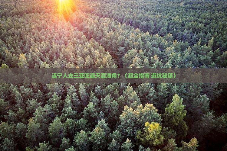遂宁去三亚天涯海角旅游小吃
