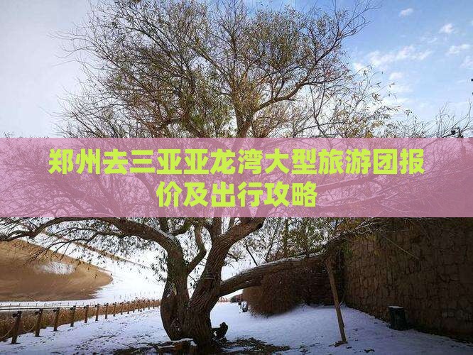 郑州去三亚亚龙湾大型旅游团