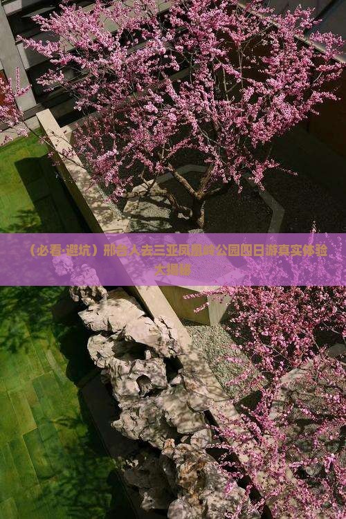 邢台前往三亚凤凰岭公园四日游