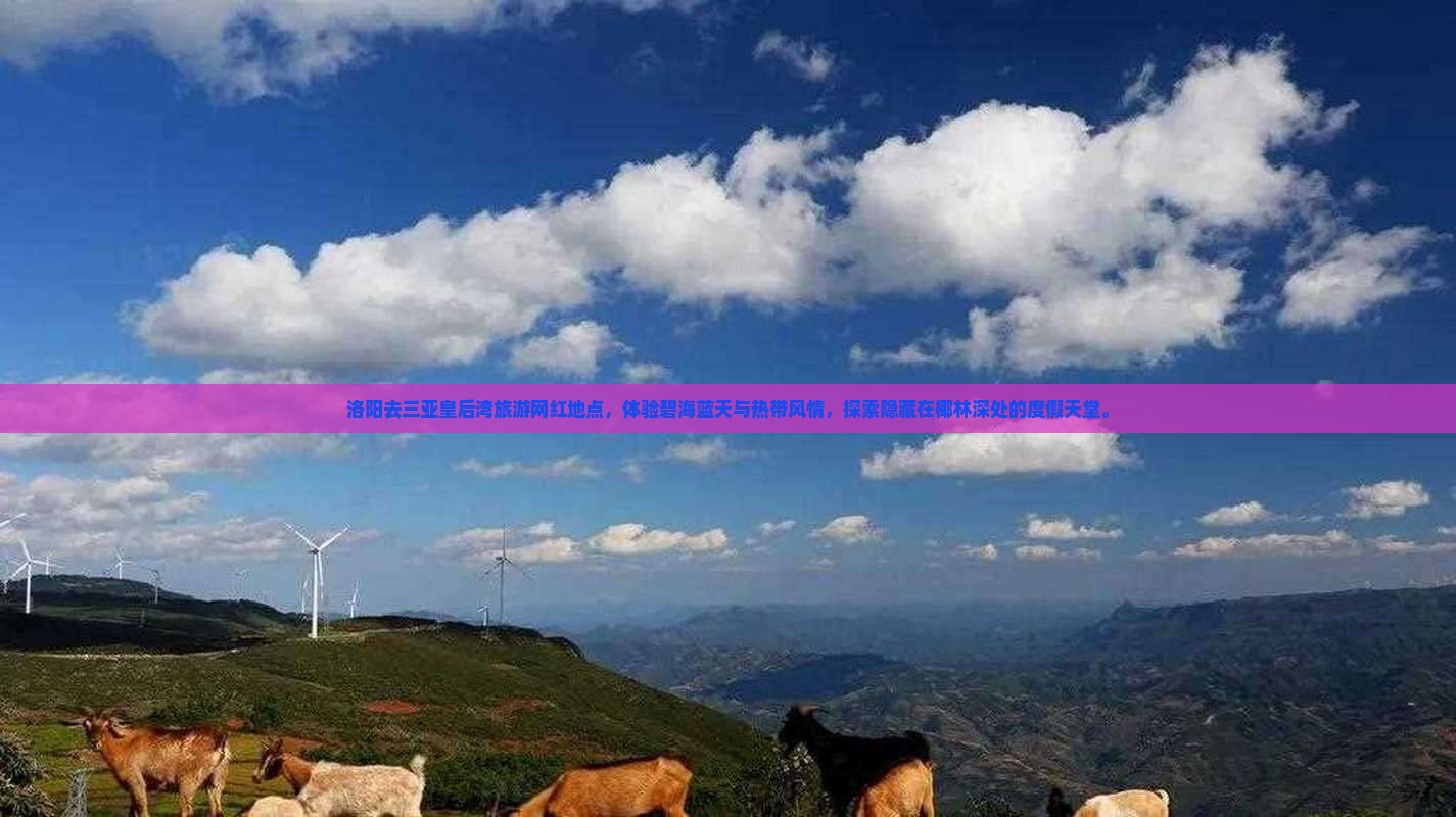 洛阳去三亚皇后湾旅游网红地点