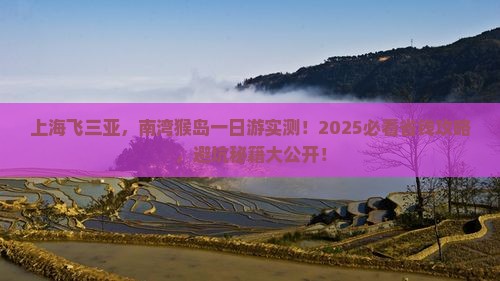 上海去三亚南湾猴岛一日游