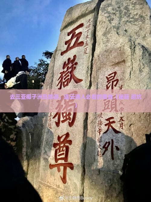 连云港去三亚椰子洲岛旅游小吃