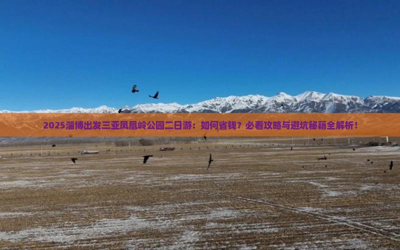 淄博出发三亚凤凰岭公园二日游