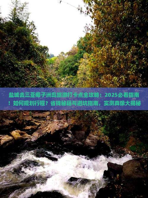 盐城去三亚椰子洲岛旅游打卡点