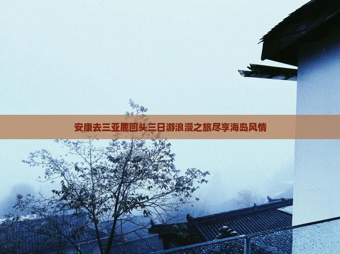 安康去三亚鹿回头三日游