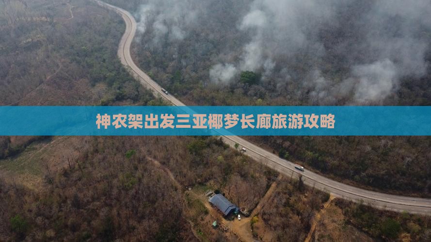 神农架出发三亚椰梦长廊团体旅游