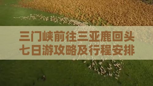 三门峡前往三亚鹿回头七日游