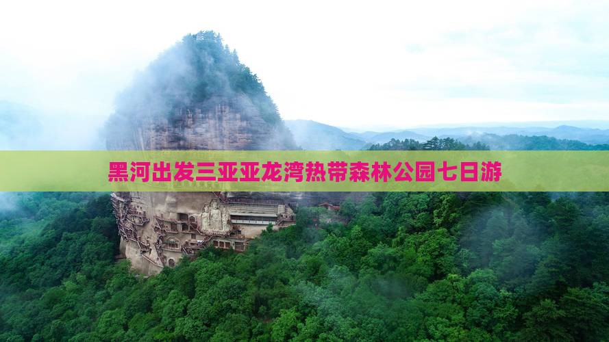 黑河出发三亚亚龙湾热带森林公园七日游