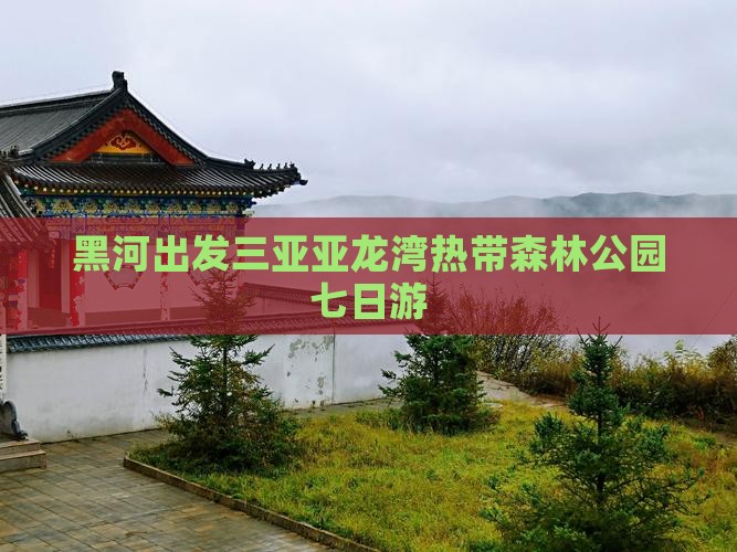 黑河出发三亚亚龙湾热带森林公园七日游