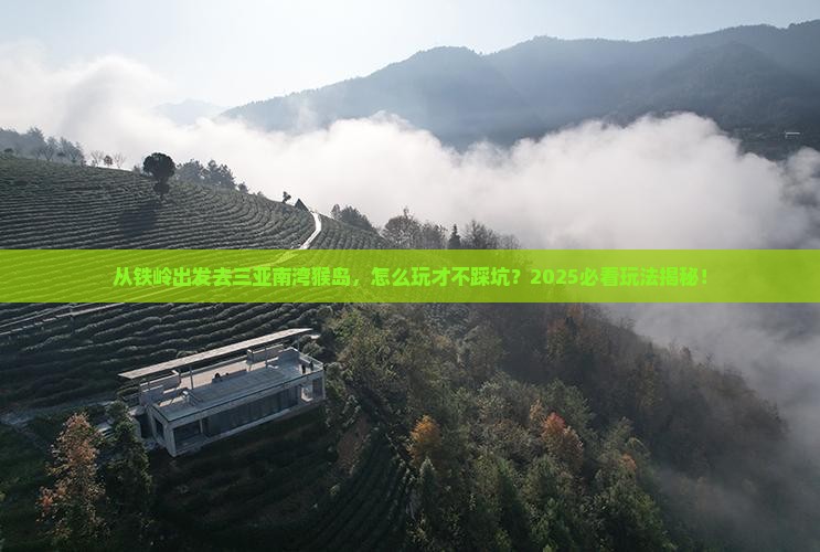 铁岭去三亚南湾猴岛哪里玩