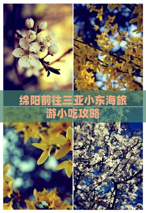 绵阳前往三亚小东海旅游小吃