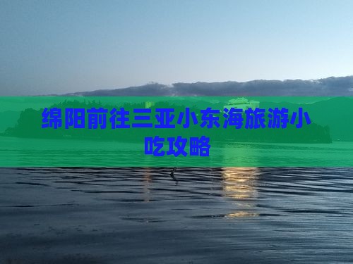绵阳前往三亚小东海旅游小吃