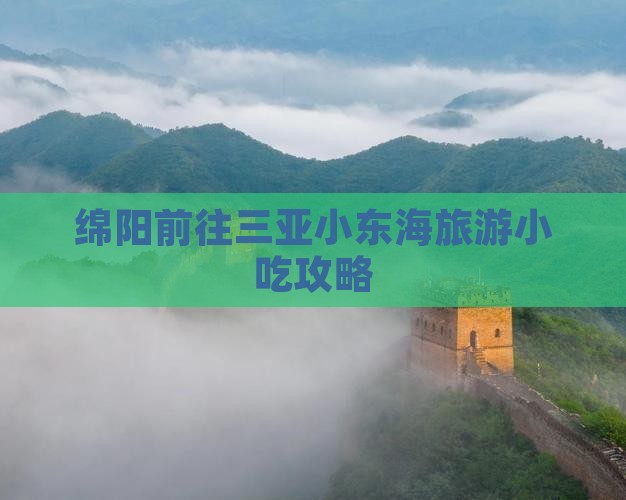 绵阳前往三亚小东海旅游小吃
